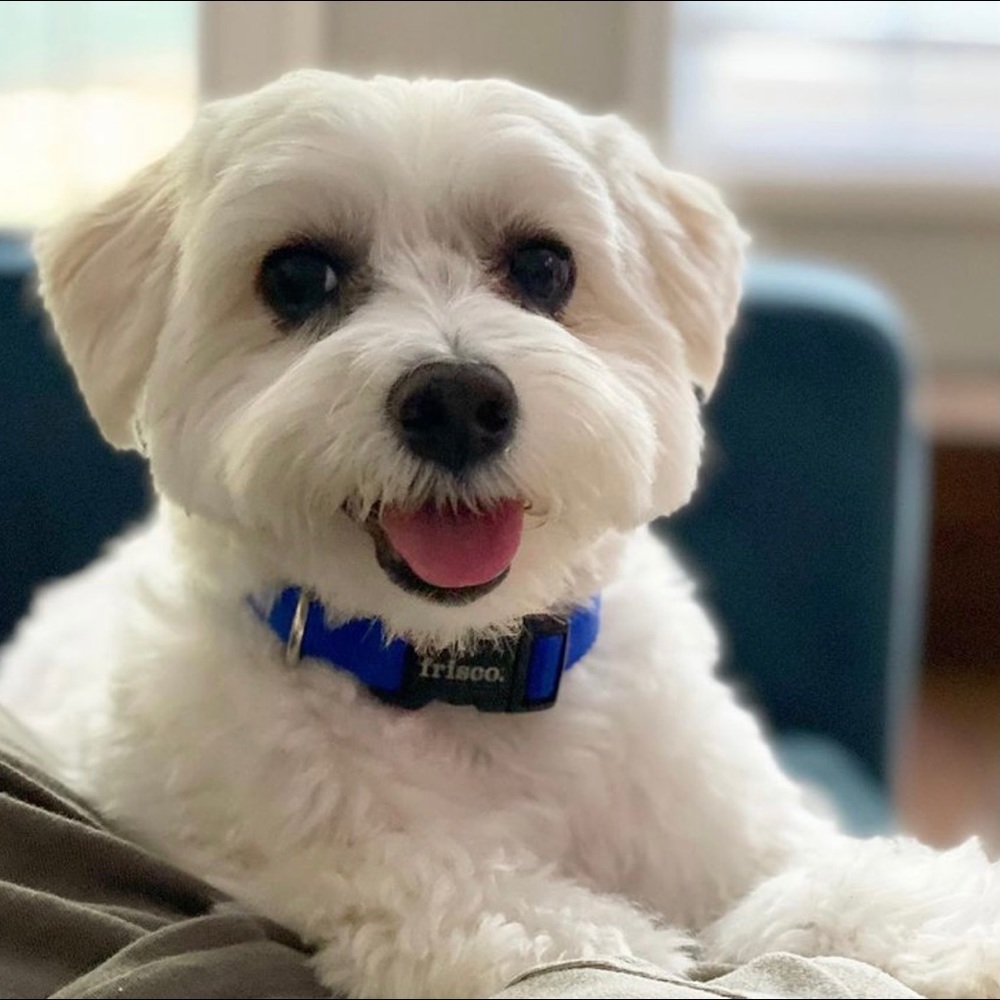 Meet your Posher, Caitlin